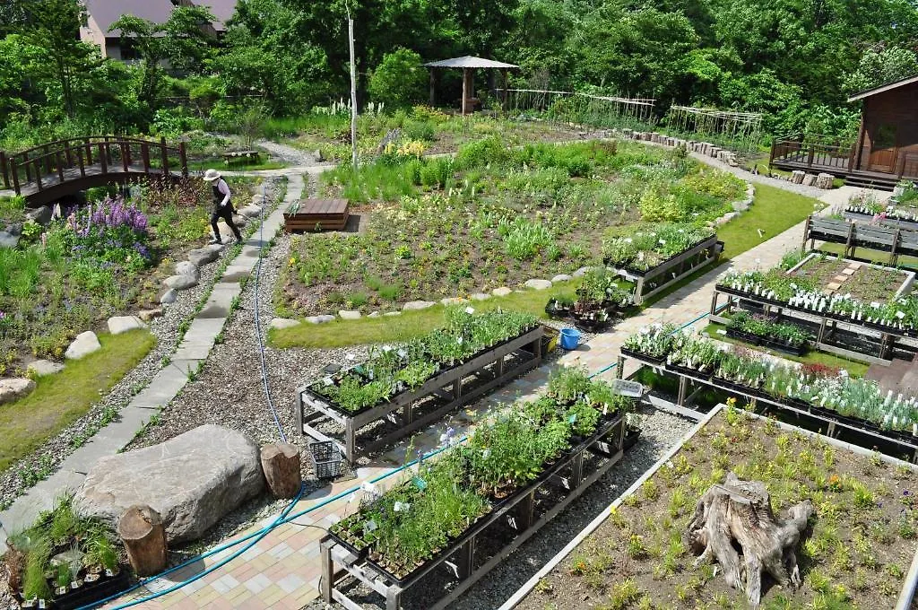 ホテル武蔵亭 小樽市 3*,
